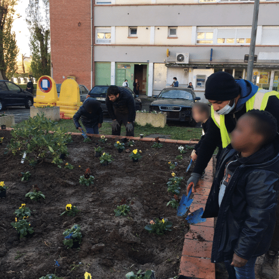 La regie Albi activites de Liens socials