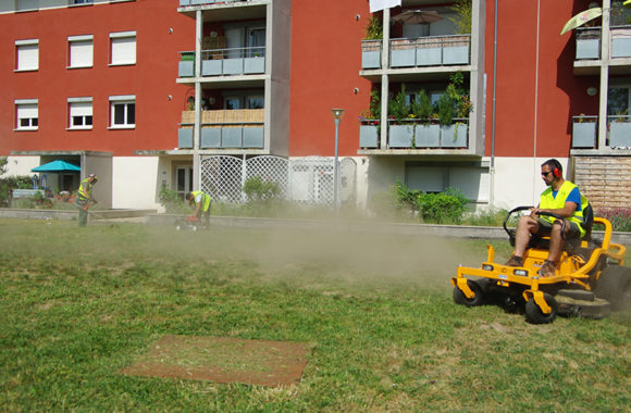 la-regie-de quartier de l'albigeois les-actus