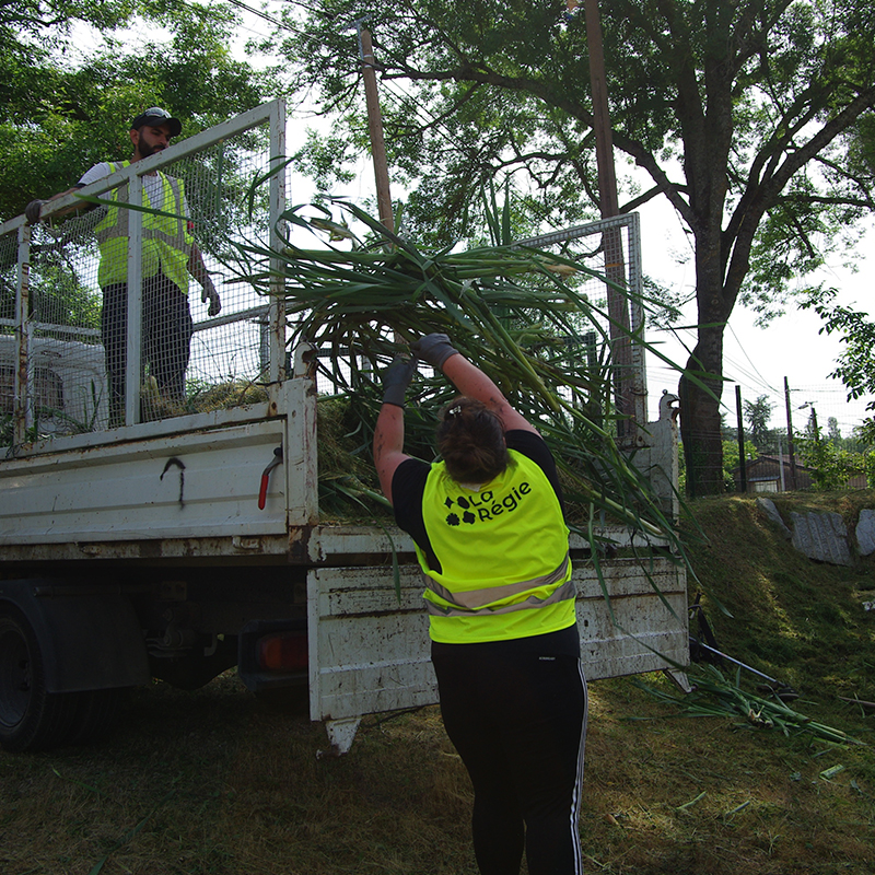 La regie Albi entretien des espaces verts